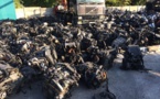 Importation de biens : Une baisse de  6,0% enregistrée  en décembre 2020