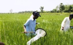 Innovation agricole : Lancement du projet Tap-Ais