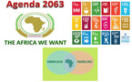 Atteinte des objectifs des agendas 2030 et 2063 : L’Afrique invitée à accélérer les progrès en matière de développement durable