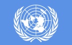 Organisation des Nations-Unies pour le Développement industriel (ONUDI): 10 millions $ perdus avec le départ de la France en 2014