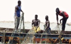 Sénégal : Contraction du secteur primaire au mois de février