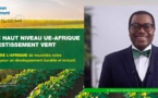Forum UE-Afrique sur l’investissement vert : «Le relèvement à venir offre de vastes possibilités en Afrique », déclare le président de la Bad, Akinwumi A. Adesina