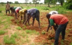 Gestion du foncier rural dans  l'espace UEMOA:  De nouveaux outils pour résoudre la problématique foncière