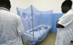 Lutte contre le paludisme : Les Etats-Unis débloquent une enveloppe de 3 milliards de FCFA