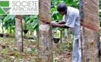 Baisse de 973 millions FCFA du résultat net de la société SAPH au premier trimestre 2021