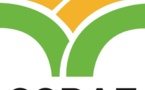 Implication du secteur privé dans l’agroscience et la Recherche Développement  : Le Coraf organise un webinaire le 24 juin prochain