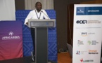 Promotion et accompagnement des startups africaines :  La Der/Fj se déploie avec AfricArena
