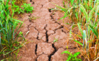 Le changement climatique et ses conséquences s’accélèrent, prévient l’ONU