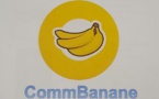 Digitalisation du suivi des activités des producteurs de Banane :  Baobab Sénégal lance le projet « CommeBanane »