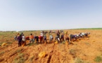 Renforcement des productions agricoles : Trade Hub octroie une subvention de 623 millions FCFA à la société Agro Boye