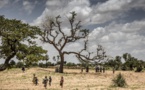 Restauration des terres dégradées en Afrique : Une nouvelle étude révèle la lenteur des progrès accomplis