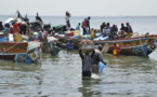 Sénégal : La durabilité de la pêche passe par une gestion transparente du secteur, selon un acteur