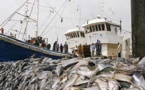 La FiTI, une opportunité du Sénégal pour vulgariser les efforts de l'Etat pour le développement de la pêche