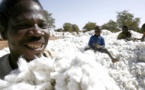Uemoa : Les exportations de coton ont atteint 856,5 milliards en 2020