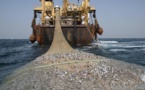 7 pays ouest-africains s’accordent pour lutter contre la pêche illicite qui coûte près de 2 milliards d'euros de pertes par an