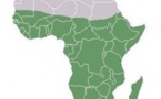 Croissance économique en Afrique : Le CRES initie une rencontre à Dakar