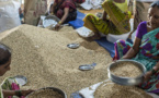 44 pays dont 33 en Afrique ont besoin d’une aide extérieure pour couvrir leurs besoins alimentaires (Fao)