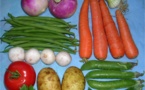 Maraîchage : 700.000 tonnes produites en 2013