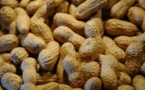 L'arachide est encore l'un des principaux produits d’exportation L'arachide est encore l'un des principaux produits d’exportation