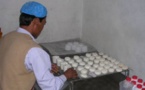 Sénégal : la région de Fatick enregistre l’ouverture d’une troisième fromagerie