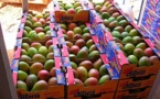 Le Mali de nouveau éligible au régime de préférences commerciales américain AGOA