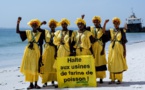 Impact de l’industrie de l’alimentation à base de poisson :  Greenpeace Afrique salue le rapport de la FAO sur les impacts socio-économiques et biologiques
