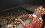 Ziguinchor :  La Fao aide à réhabiliter la plateforme de transformation de poisson de Fanda