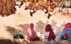 Soutien à la résilience des moyens d’existence face au Covid-19 :  La Fida fait un don de 1,07 million d’USD à la Somalie