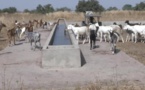 Soutien au pastoralisme au Sahel : Farouk Banna de la Banque mondiale salue les résultats de la phase 1 du Praps au Sénégal