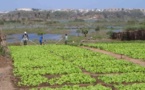 Le CNCR œuvre pour une agriculture familiale durable et compétitive