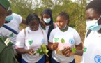 Forêt classée de Mbao : La Fao déploie l’Initiative Villes vertes au Sénégal