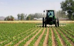 Campagne agricole 2022-2023 : Le budget validé s’élève à 70 milliards de FCFA