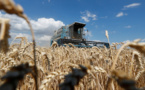 Conflit en Ukraine : Les effets sur la sécurité alimentaire se font déjà sentir au Proche-Orient et Afrique du Nord