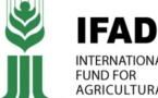Fonds international de développement agricole :  Les Etats membres invités à proposer des candidats à la présidence