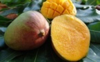 Le Sénégalais Waare Production présente à Paris son vinaigre à base de jus de mangue