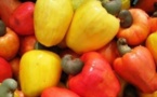 SIA : le PADEC expose une gamme de produits de la Casamance