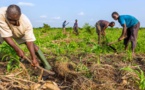Nouveaux accords de financement : Le Fida accompagne le Sénégal pour aider les populations rurales