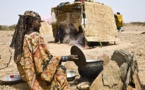 Lutte contre les crises alimentaires dans le Sahel : Différentes organisations promettent une aide financière d’un montant de  2,5 milliard d’euros