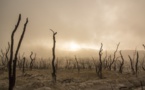 Le climat et les promesses non tenues des pays riches