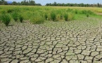 Restauration des terres et résilience climatique : Le Fida pour une hausse immédiate des investissements