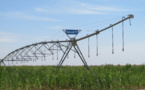Développement de l’irrigation : CMGP CAS « apporte des solutions » avec l’installation de sa  filiale CMGP Sénégal