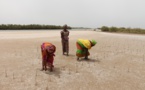 Défi climatique mondial : Le Sénégal et le Gca unissent leurs forces