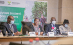 Comité régional des semences et plants d’Afrique de l’Ouest : L’état de mise en œuvre de la réglementation au menu de la 7ème réunion