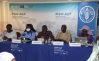 Chaine de valeur des huîtres au Sénégal :  Lancement de la stratégie de mise à niveau de la filière