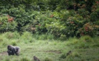 En faveur d'une bio économie pour lutter contre la faim et la crise climatique en Afrique