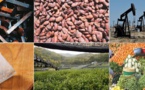 Marché international des matières premières : Les prix baissent, sauf celui du pétrole brut