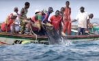 Pêche : Les signes d'une 'crise aiguë' du secteur relevées par un officiel