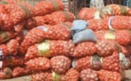 SENEGAL: L'Etat doit accompagner les producteurs locaux