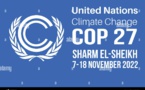 Sommet sur le climat de Charm El Cheikh en Egypte : Pour d'authentiques réponses Africaines aux enjeux et défis du climat …