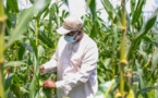Sénégal : Le président Macky Sall demande une Stratégie de souveraineté alimentaire avant fin décembre 2022